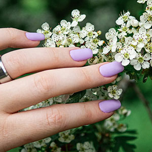 An Pure Spa Inc gallery